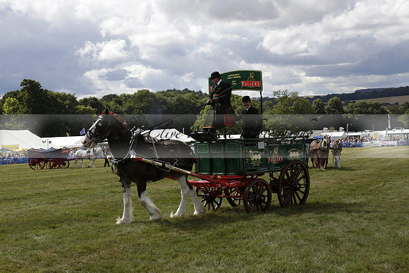 The Alresford Agricultural Show Tichbourne on Saturday 2013.09.07 www.polopictures.co.uk