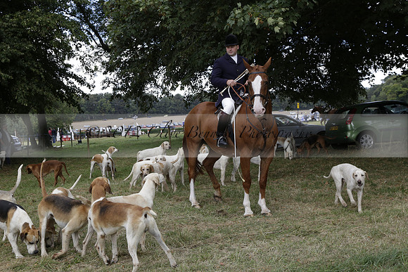 The Alresford Agricultural Show Tichbourne on Saturday 2013.09.07 www.polopictures.co.uk