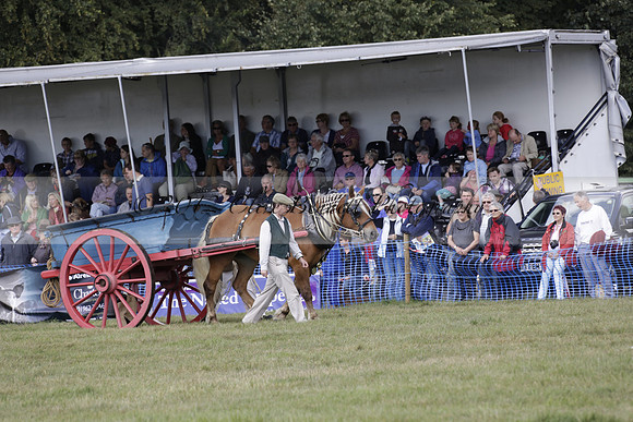 The Alresford Agricultural Show Tichbourne on Saturday 2013.09.07 www.polopictures.co.uk