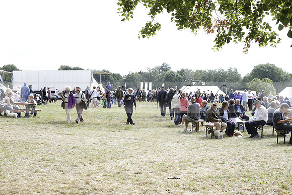 The Alresford Agricultural Show Tichbourne on Saturday 2013.09.07 www.polopictures.co.uk