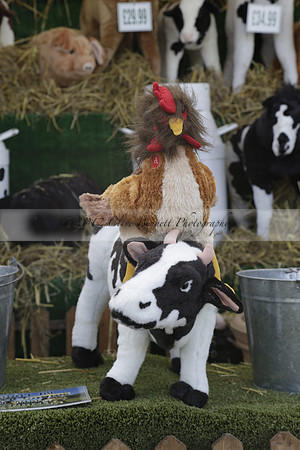 The Alresford Agricultural Show Tichbourne on Saturday 2013.09.07 www.polopictures.co.uk