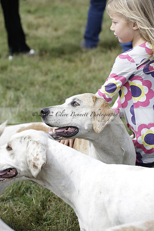 The Alresford Agricultural Show Tichbourne on Saturday 2013.09.07 www.polopictures.co.uk