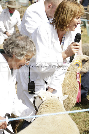 The Alresford Agricultural Show Tichbourne on Saturday 2013.09.07 www.polopictures.co.uk