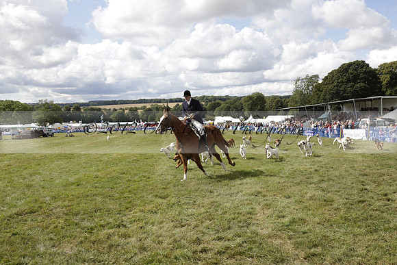 The Alresford Agricultural Show Tichbourne on Saturday 2013.09.07 www.polopictures.co.uk