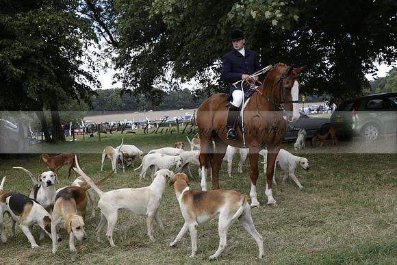 The Alresford Agricultural Show Tichbourne on Saturday 2013.09.07 www.polopictures.co.uk
