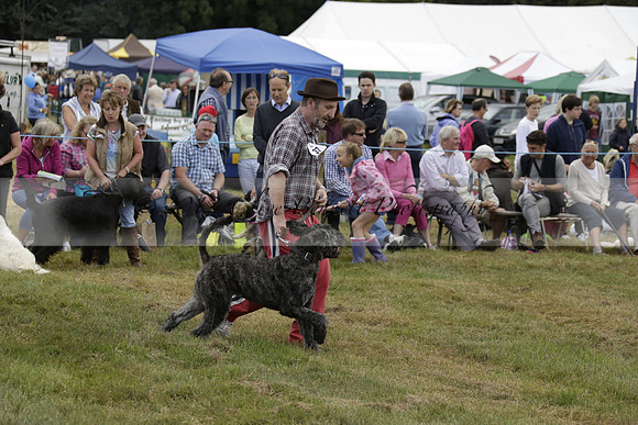 The Alresford Agricultural Show Tichbourne on Saturday 2013.09.07 www.polopictures.co.uk