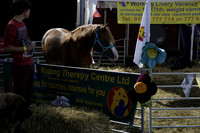 The Alresford Agricultural Show Tichbourne on Saturday 2013.09.07 www.polopictures.co.uk