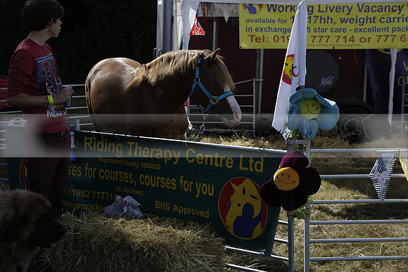 The Alresford Agricultural Show Tichbourne on Saturday 2013.09.07 www.polopictures.co.uk