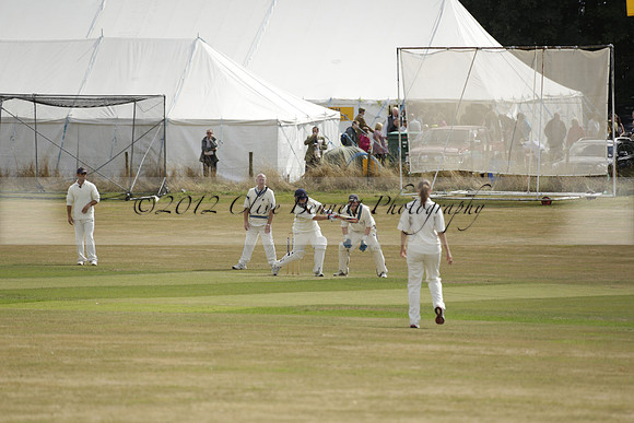 The Alresford Agricultural Show Tichbourne on Saturday 2013.09.07 www.polopictures.co.uk