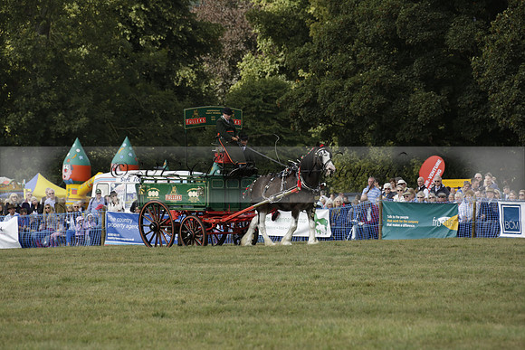 The Alresford Agricultural Show Tichbourne on Saturday 2013.09.07 www.polopictures.co.uk