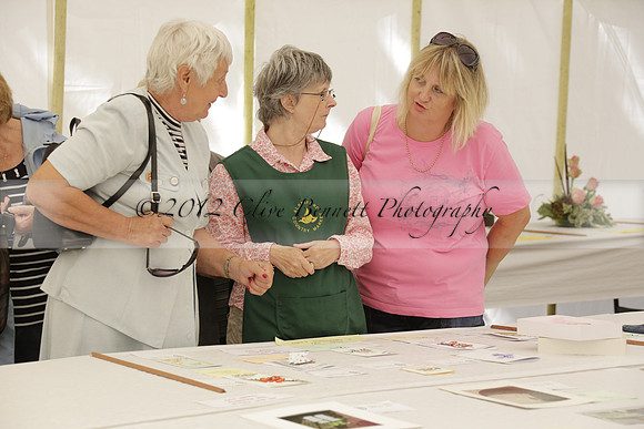 The Alresford Agricultural Show Tichbourne on Saturday 2013.09.07 www.polopictures.co.uk