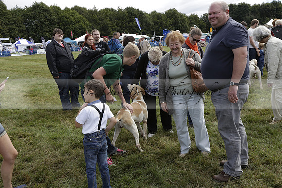 The Alresford Agricultural Show Tichbourne on Saturday 2013.09.07 www.polopictures.co.uk