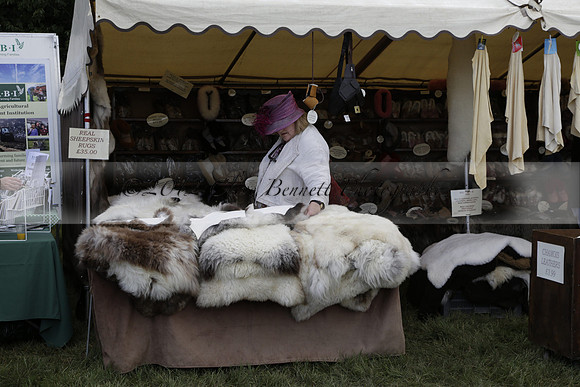 The Alresford Agricultural Show Tichbourne on Saturday 2013.09.07 www.polopictures.co.uk