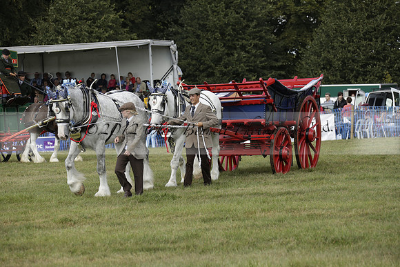 The Alresford Agricultural Show Tichbourne on Saturday 2013.09.07 www.polopictures.co.uk