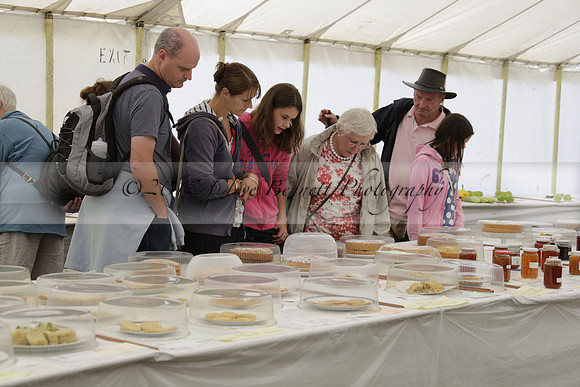 The Alresford Agricultural Show Tichbourne on Saturday 2013.09.07 www.polopictures.co.uk
