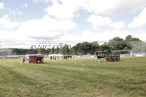 The Alresford Agricultural Show Tichbourne on Saturday 2013.09.07 www.polopictures.co.uk