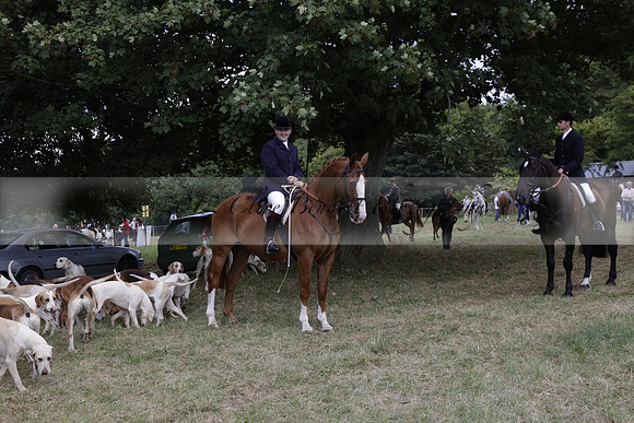 The Alresford Agricultural Show Tichbourne on Saturday 2013.09.07 www.polopictures.co.uk