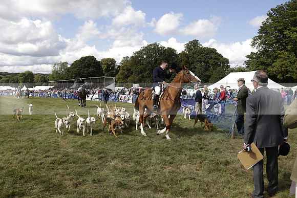 The Alresford Agricultural Show Tichbourne on Saturday 2013.09.07 www.polopictures.co.uk