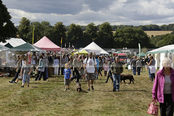 The Alresford Agricultural Show Tichbourne on Saturday 2013.09.07 www.polopictures.co.uk