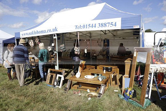 The Alresford Agricultural Show Tichbourne on Saturday 2013.09.07 www.polopictures.co.uk