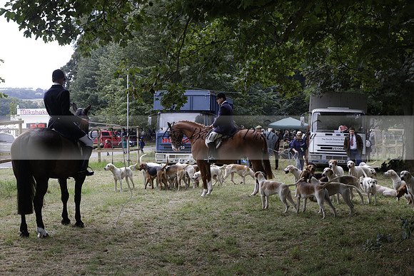 The Alresford Agricultural Show Tichbourne on Saturday 2013.09.07 www.polopictures.co.uk