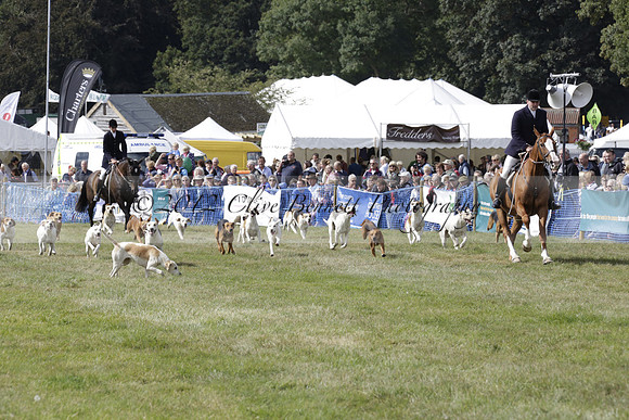 The Alresford Agricultural Show Tichbourne on Saturday 2013.09.07 www.polopictures.co.uk