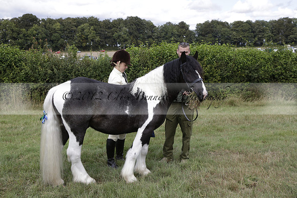The Alresford Agricultural Show Tichbourne on Saturday 2013.09.07 www.polopictures.co.uk