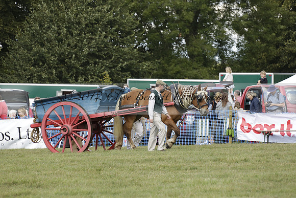The Alresford Agricultural Show Tichbourne on Saturday 2013.09.07 www.polopictures.co.uk
