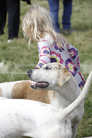 The Alresford Agricultural Show Tichbourne on Saturday 2013.09.07 www.polopictures.co.uk