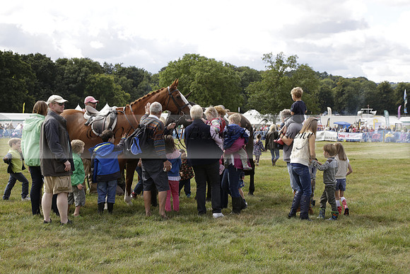 The Alresford Agricultural Show Tichbourne on Saturday 2013.09.07 www.polopictures.co.uk