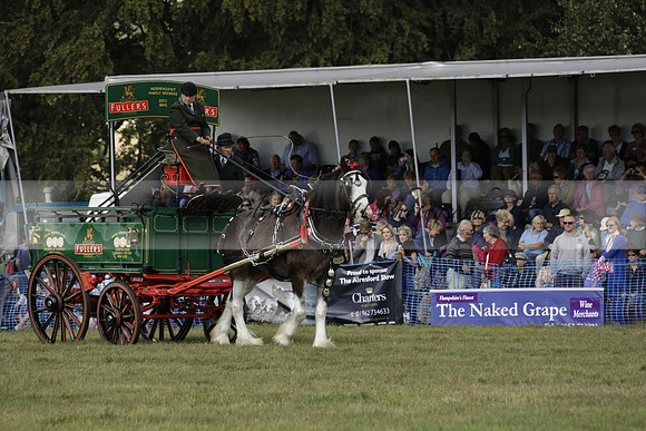 The Alresford Agricultural Show Tichbourne on Saturday 2013.09.07 www.polopictures.co.uk