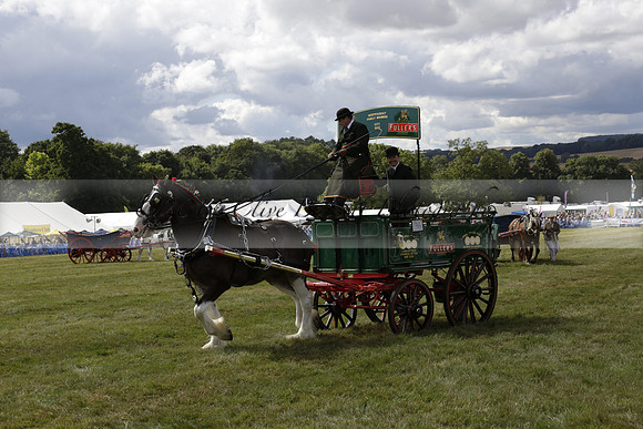 The Alresford Agricultural Show Tichbourne on Saturday 2013.09.07 www.polopictures.co.uk