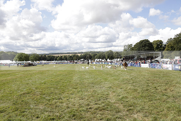 The Alresford Agricultural Show Tichbourne on Saturday 2013.09.07 www.polopictures.co.uk