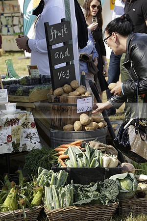 The Alresford Agricultural Show Tichbourne on Saturday 2013.09.07 www.polopictures.co.uk