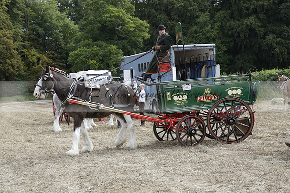 The Alresford Agricultural Show Tichbourne on Saturday 2013.09.07 www.polopictures.co.uk