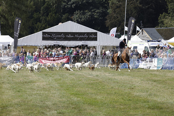 The Alresford Agricultural Show Tichbourne on Saturday 2013.09.07 www.polopictures.co.uk
