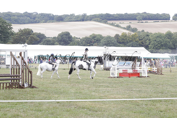 The Alresford Agricultural Show Tichbourne on Saturday 2013.09.07 www.polopictures.co.uk