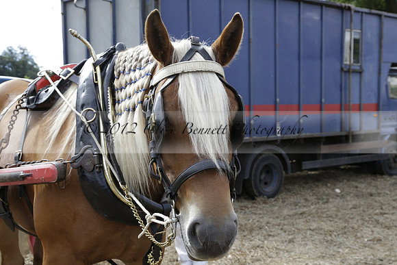 The Alresford Agricultural Show Tichbourne on Saturday 2013.09.07 www.polopictures.co.uk