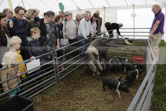 The Alresford Agricultural Show Tichbourne on Saturday 2013.09.07 www.polopictures.co.uk