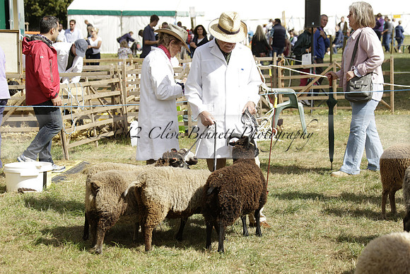 The Alresford Agricultural Show Tichbourne on Saturday 2013.09.07 www.polopictures.co.uk