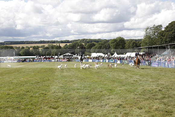 The Alresford Agricultural Show Tichbourne on Saturday 2013.09.07 www.polopictures.co.uk