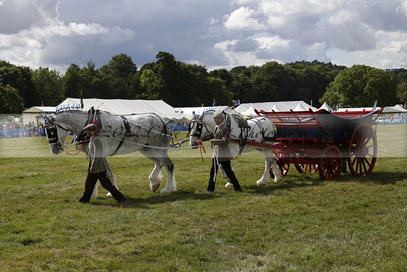 The Alresford Agricultural Show Tichbourne on Saturday 2013.09.07 www.polopictures.co.uk