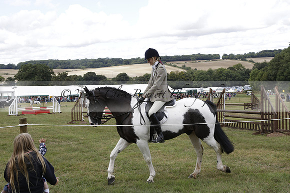 The Alresford Agricultural Show Tichbourne on Saturday 2013.09.07 www.polopictures.co.uk