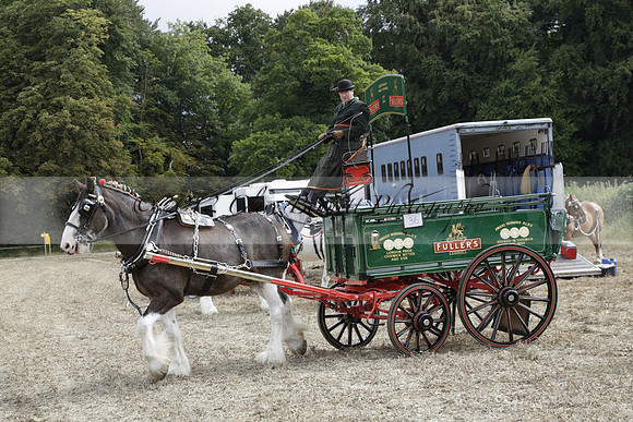 The Alresford Agricultural Show Tichbourne on Saturday 2013.09.07 www.polopictures.co.uk