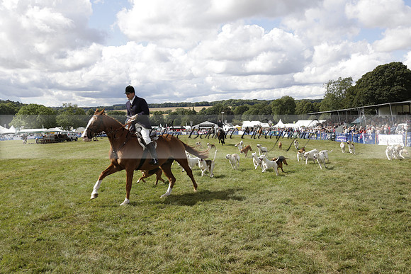 The Alresford Agricultural Show Tichbourne on Saturday 2013.09.07 www.polopictures.co.uk