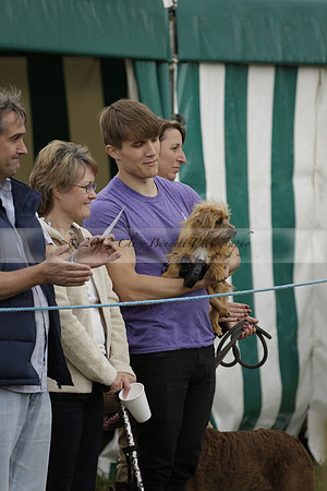 The Alresford Agricultural Show Tichbourne on Saturday 2013.09.07 www.polopictures.co.uk