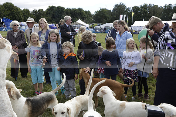 The Alresford Agricultural Show Tichbourne on Saturday 2013.09.07 www.polopictures.co.uk