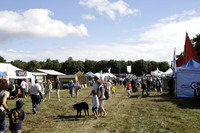 The Alresford Agricultural Show Tichbourne on Saturday 2013.09.07 www.polopictures.co.uk