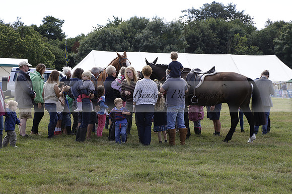 The Alresford Agricultural Show Tichbourne on Saturday 2013.09.07 www.polopictures.co.uk