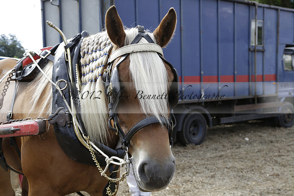 The Alresford Agricultural Show Tichbourne on Saturday 2013.09.07 www.polopictures.co.uk